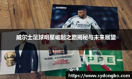 威尔士足球明星崛起之路揭秘与未来展望