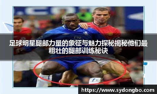 足球明星腿部力量的象征与魅力探秘揭秘他们最粗壮的腿部训练秘诀
